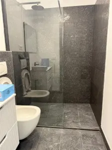 Spațiu comercial Moșnița Nouă - poza 7