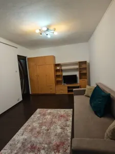 Apartament 1 camera Timișoara - poza 3