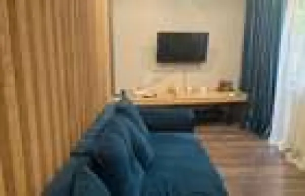 Apartament 1 camera București - poza 14