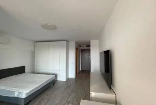 Apartament 1 camera București - poza 18