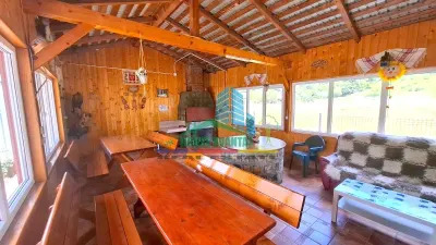 Casă 10 camere Lepsa - poza 8