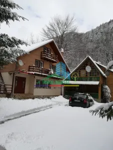 Spațiu comercial Lepsa - poza 17
