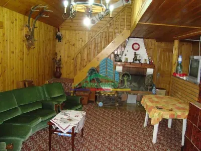 Spațiu comercial Lepsa - poza 7