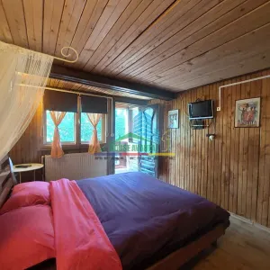 Casă 5 camere Lepsa - poza 11