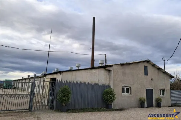 Spațiu comercial Brașov - poza 13