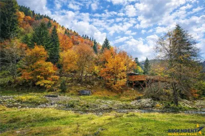 Teren Zărnești - poza 3