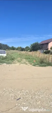 Teren de vanzare - Pruni