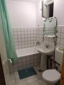 Apartament 4 camere Timișoara - poza 6