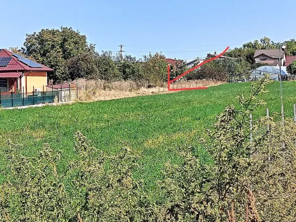 Teren Dragomiresti-Vale - poza 2