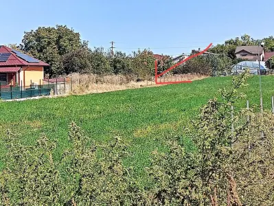 Teren Dragomiresti-Vale - poza 2