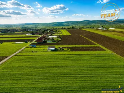 Teren Chilieni - poza 9