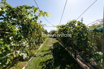 Casă 6 camere Darmanesti - poza 18