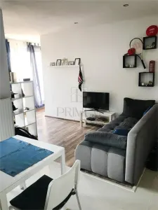 ARADULUI - 1 CAMERA - BLOC NOU - CENTRALA|AC - ZONA LINISTITA - Timisoara
