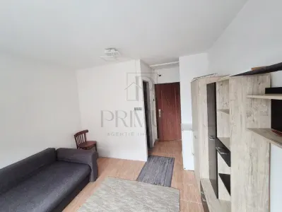 Apartament 1 camera Timișoara - poza 2