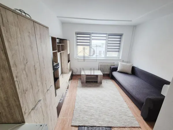 Apartament 1 camera Timișoara - poza 3