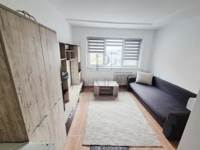 Apartament 1 camera Timișoara - poza 3