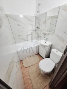 Apartament 1 camera Timișoara - poza 7