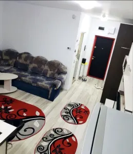 Apartament 1 camera Oradea - poza 3