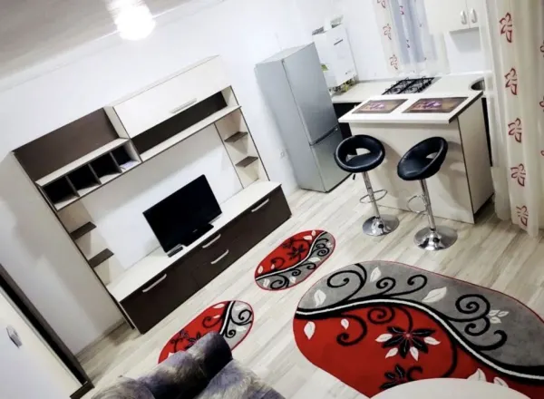 Apartament 1 camera Oradea - poza 4