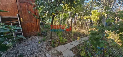 Casă 3 camere Alba Iulia - poza 6