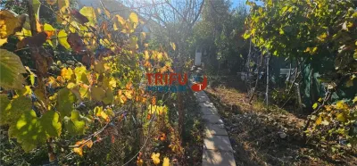 Casă 3 camere Alba Iulia - poza 7