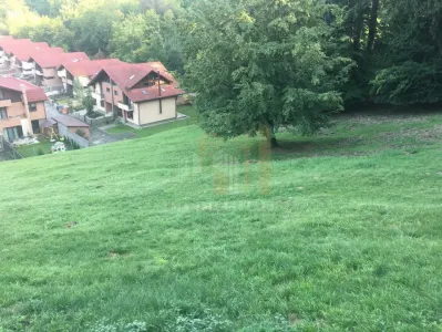 Teren intravilan Brasov Strada Ciresului 2900 mp - Brasov