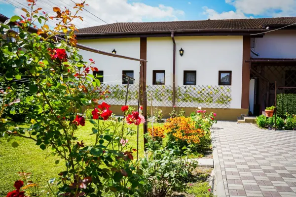 Casă 10 camere Lunca Calnicului - poza 6