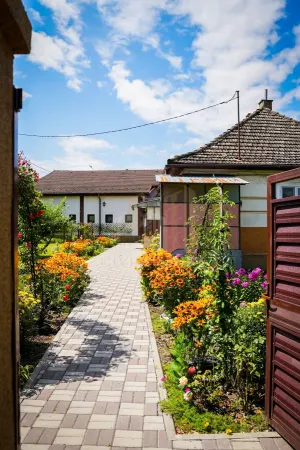 Casă 10 camere Lunca Calnicului - poza 10