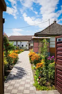 Casă 10 camere Lunca Calnicului - poza 10