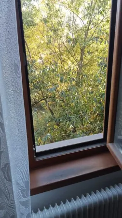 Apartament 2 camere Cluj-Napoca - poza 2