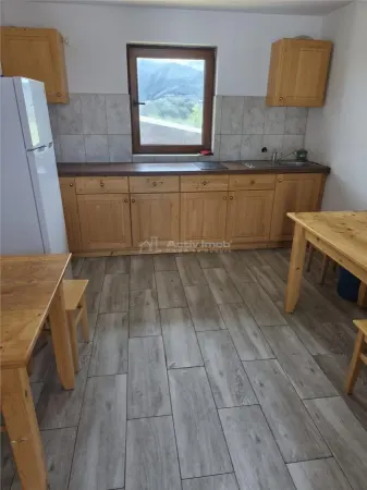 Casă 10 camere Cristian - poza 2