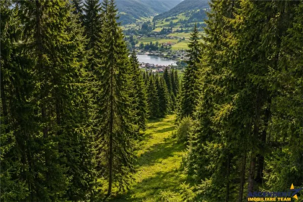 Teren Lunca Bradului - poza 1