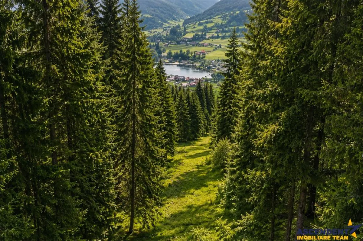Teren Lunca Bradului - poza 1