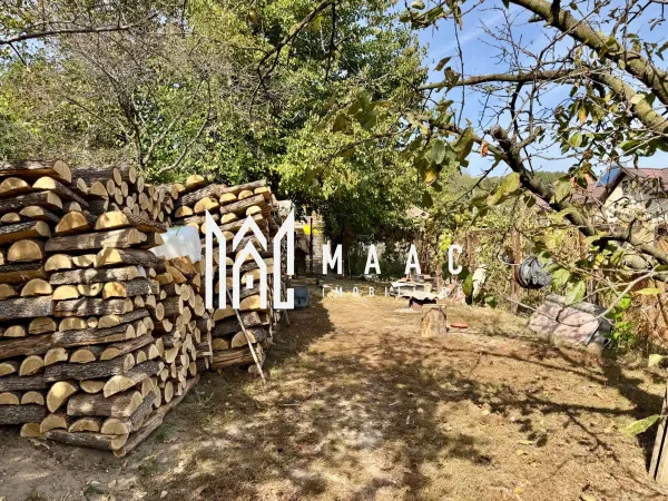 Casă 4 camere Gura Vaii - poza 22