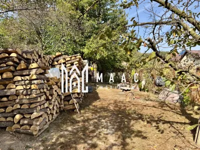 Casă 4 camere Gura Vaii - poza 22