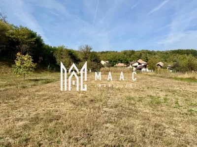 Casă 4 camere Gura Vaii - poza 23