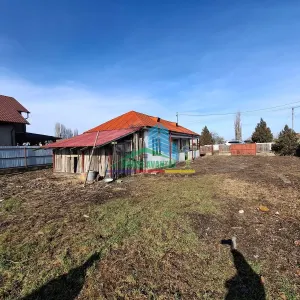 Casă 2 camere Bizighesti - poza 5