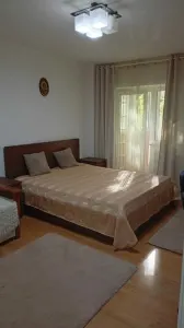 Apartament 1 camera București - poza 7