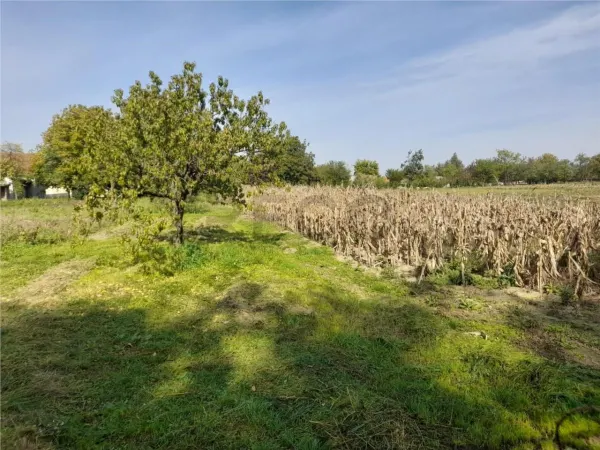 Casă 2 camere Crestur - poza 13