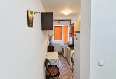 Apartament 1 camera Timișoara - poza 5