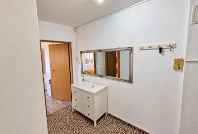 Apartament 1 camera Timișoara - poza 8