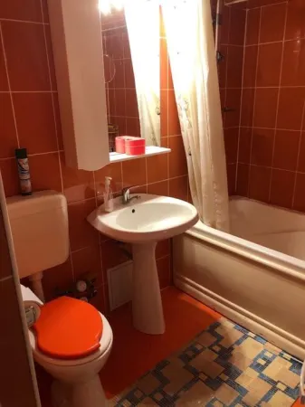 Apartament 3 camere Timișoara - poza 7