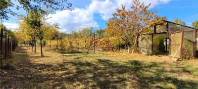 Casă 4 camere Sibiu - poza 18