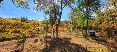 Casă 4 camere Sibiu - poza 19