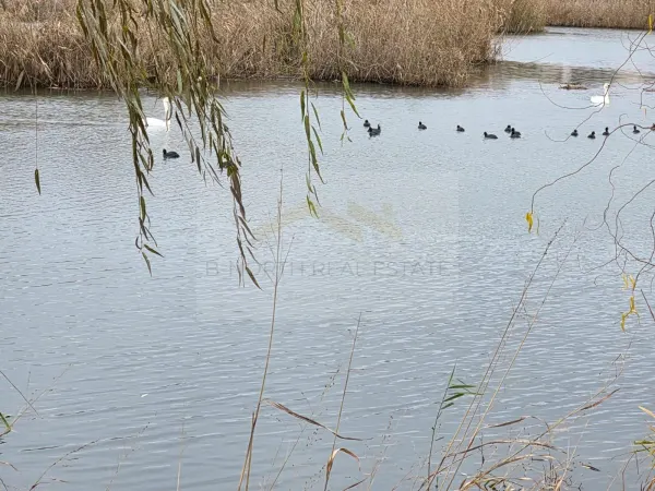 Teren Corbeanca - poza 3
