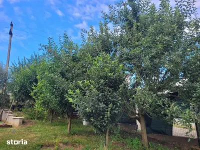 Casă 4 camere Livezeni - poza 7
