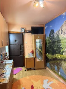 Apartament 1 camera Timișoara - poza 3