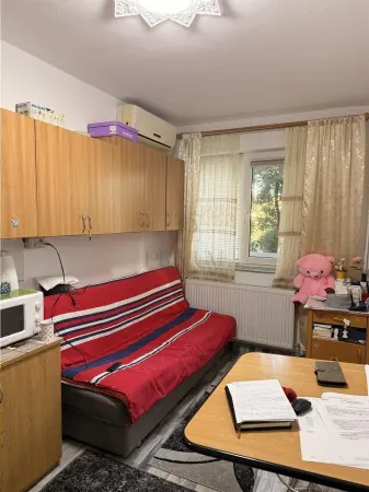 Apartament 1 camera Timișoara - poza 1