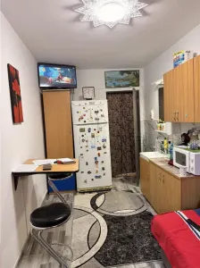 Apartament 1 camera Timișoara - poza 2