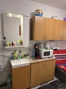 Apartament 1 camera Timișoara - poza 3